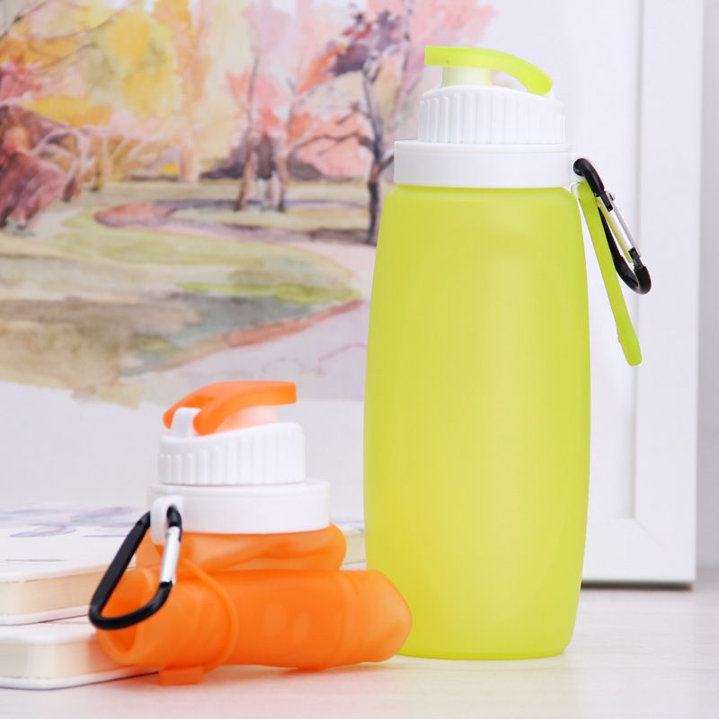 collapsible water container