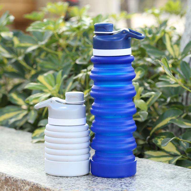 best collapsible water bottle L